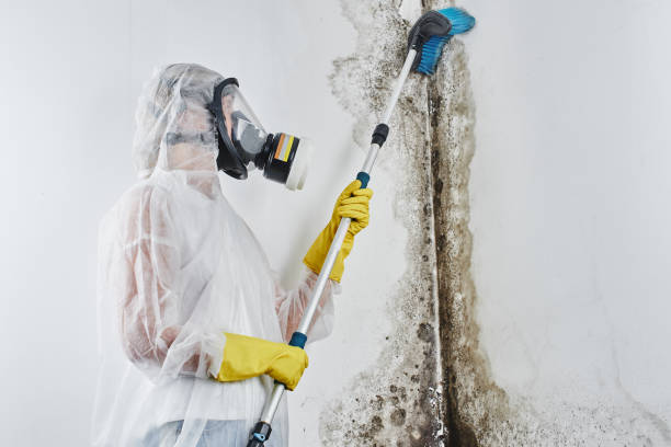 Best Mold Remediation for Specific Building Types in Fort Campbell North, KY