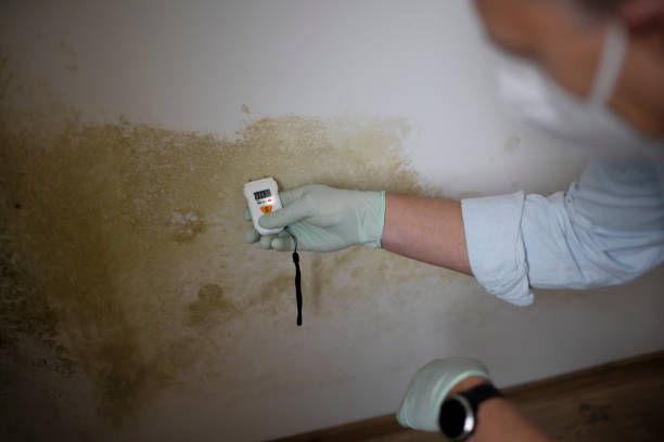Best Crawl Space Mold Remediation in Fort Campbell North, KY