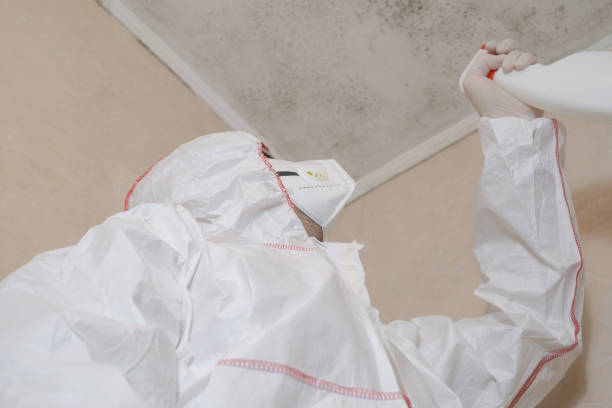 Best Mold Remediation for Specific Building Types in Fort Campbell North, KY
