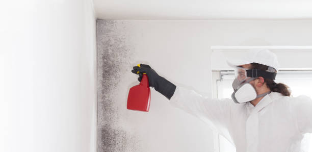 Best Emergency Mold Remediation in Fort Campbell North, KY